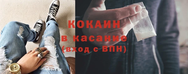 индика Бородино