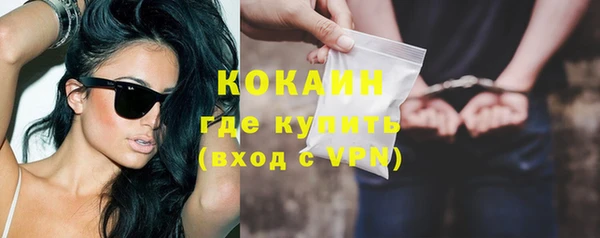 индика Бородино