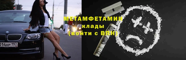 индика Бородино