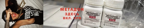 индика Бородино