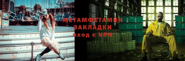 индика Бородино