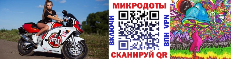 Псилоцибиновые грибы прущие грибы наркотики кракен Вышний Волочёк